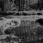 красный светофильтр