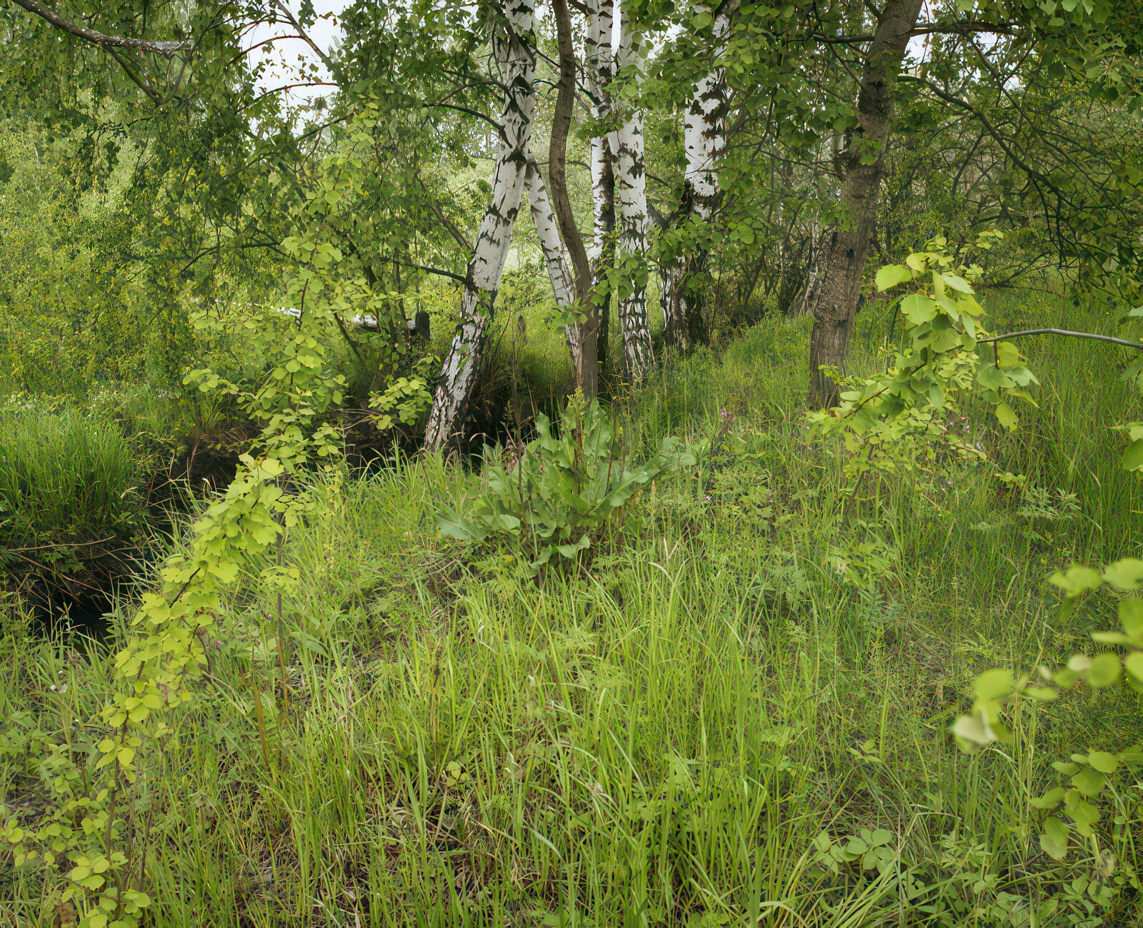 Интерьер лофта с видом на музей танков