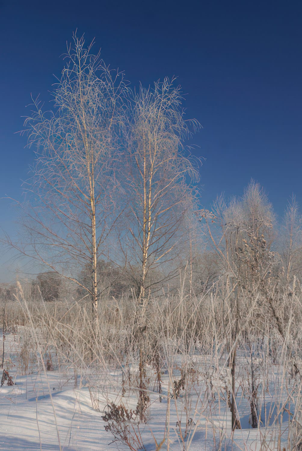 Современный интерьер с видом на взлетно-посадочные полосы Шереметьево